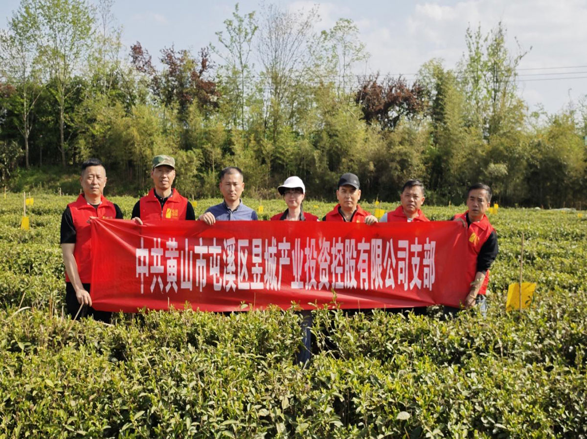 昱城產(chǎn)投公司黨支部開展“茶香潤初心，黨旗映茶園”主題黨日活動(dòng)